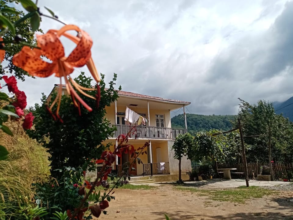 Property building, Day, Natural landscape, Garden, Garden view, Mountain view