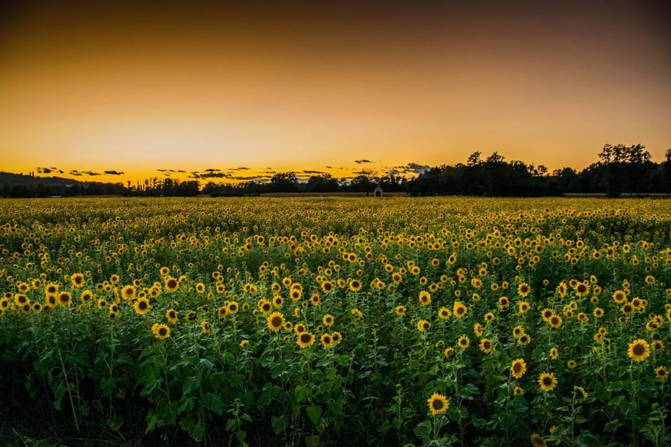 Natural landscape, Sunset