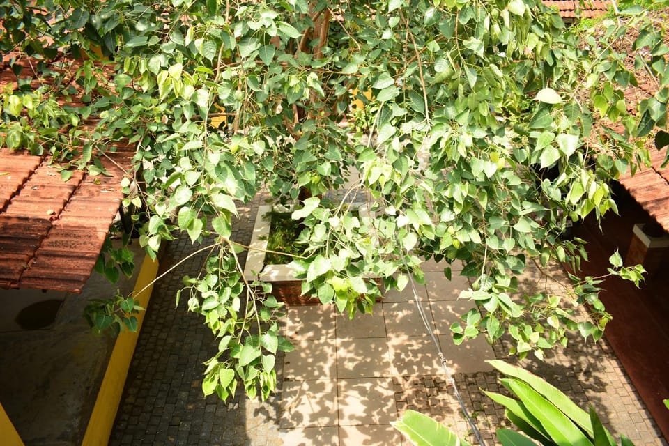 Design Ashram Hostel in Kozhikode