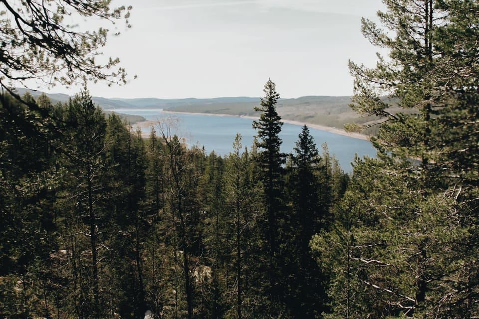 Spring, Off site, Day, Natural landscape, Summer