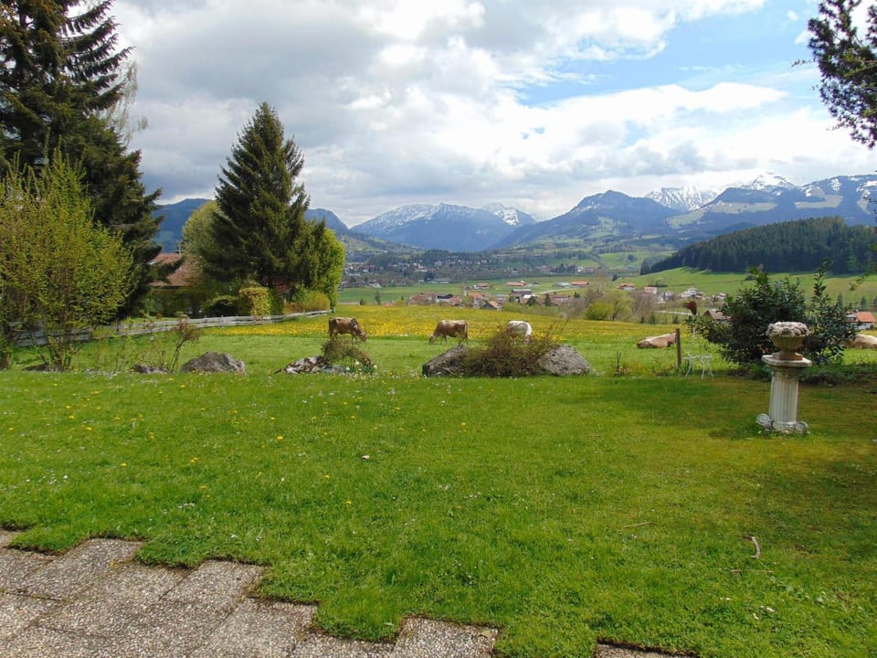 Natural landscape, Garden