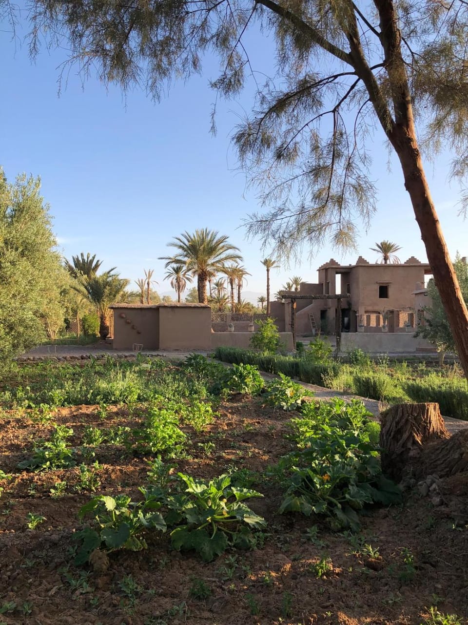 Day, Natural landscape, Garden, Landmark view