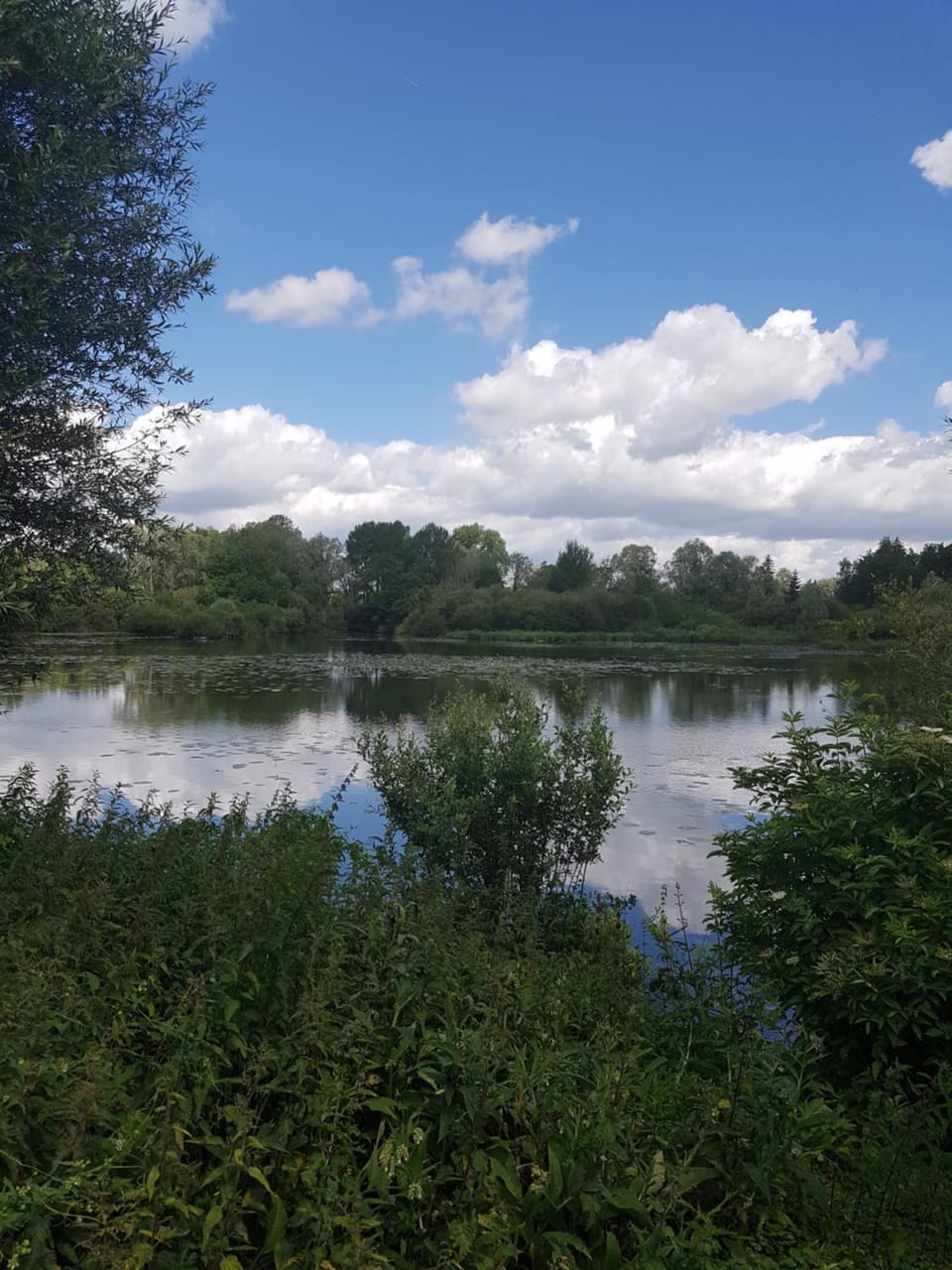Lake view