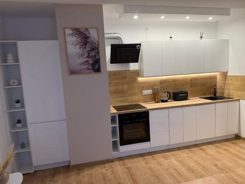 Kitchen or kitchenette, dishwasher, oven, stove, toaster