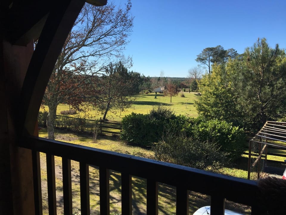 Balcony/Terrace, Garden view