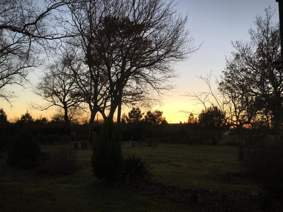 Garden, Sunset