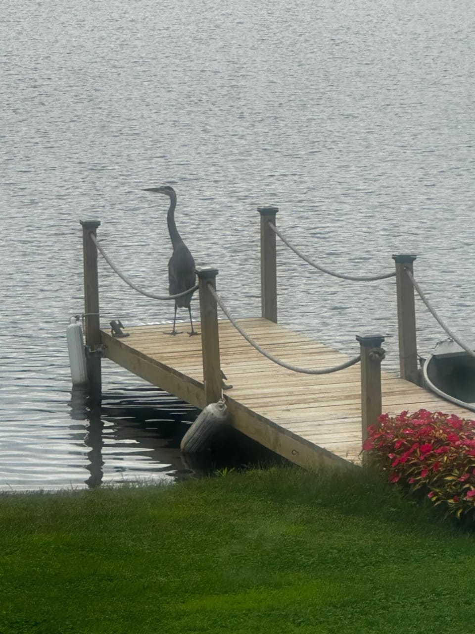 Lake view