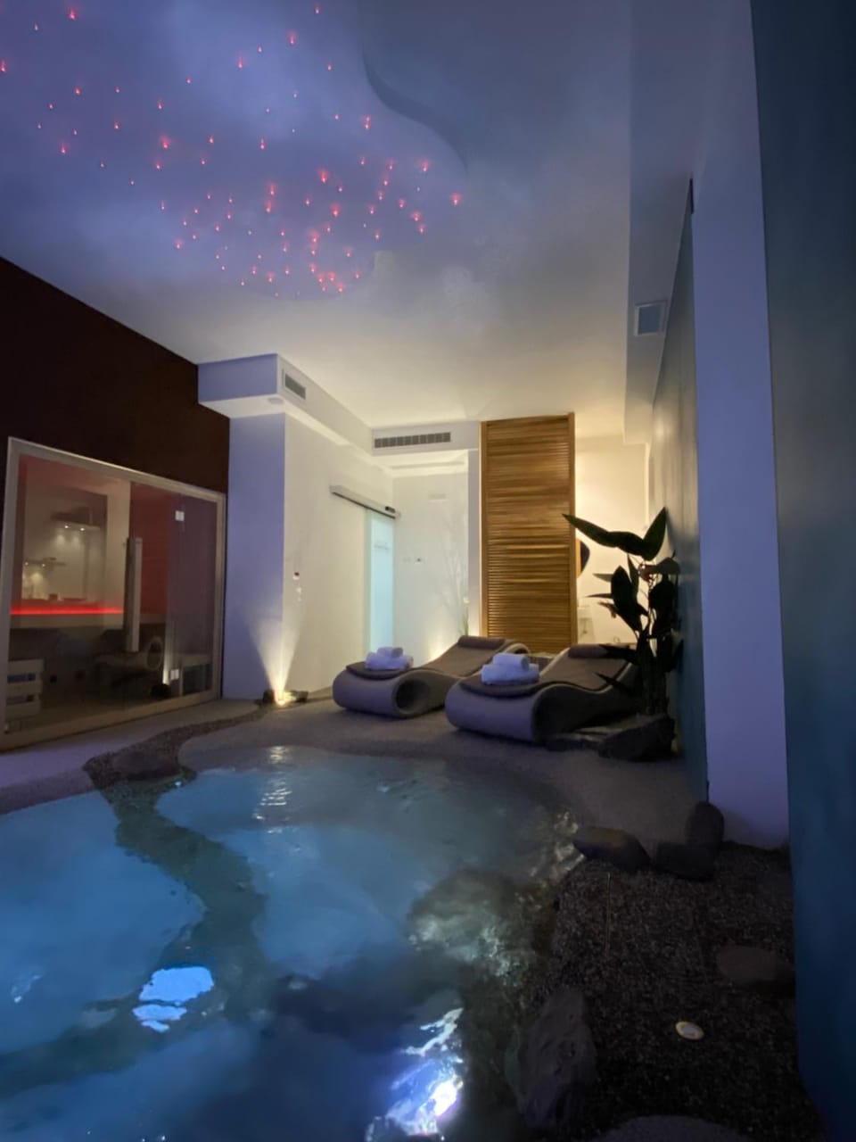 Sauna, Spa and wellness centre/facilities