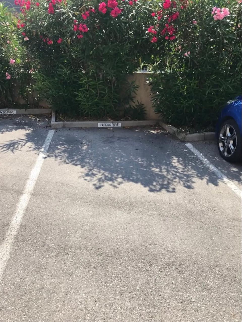 studio4 27m2 Terrasse Parking Piscine Apartment in Nice