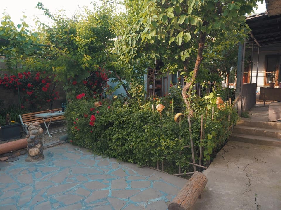 Patio, Garden, Garden view