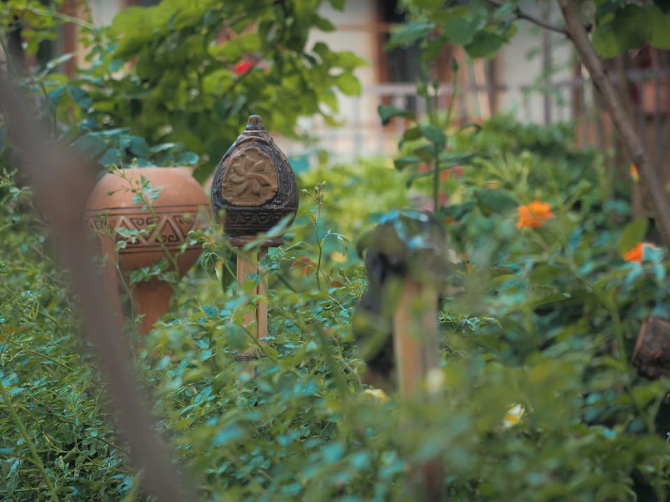 Garden, Garden view