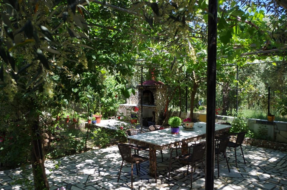 Patio, Garden, Dining area