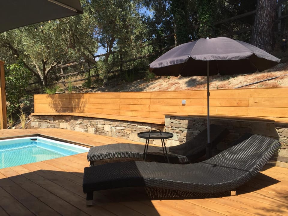 Day, Natural landscape, Garden, Garden view, Pool view, Swimming pool, Swimming pool, sunbed