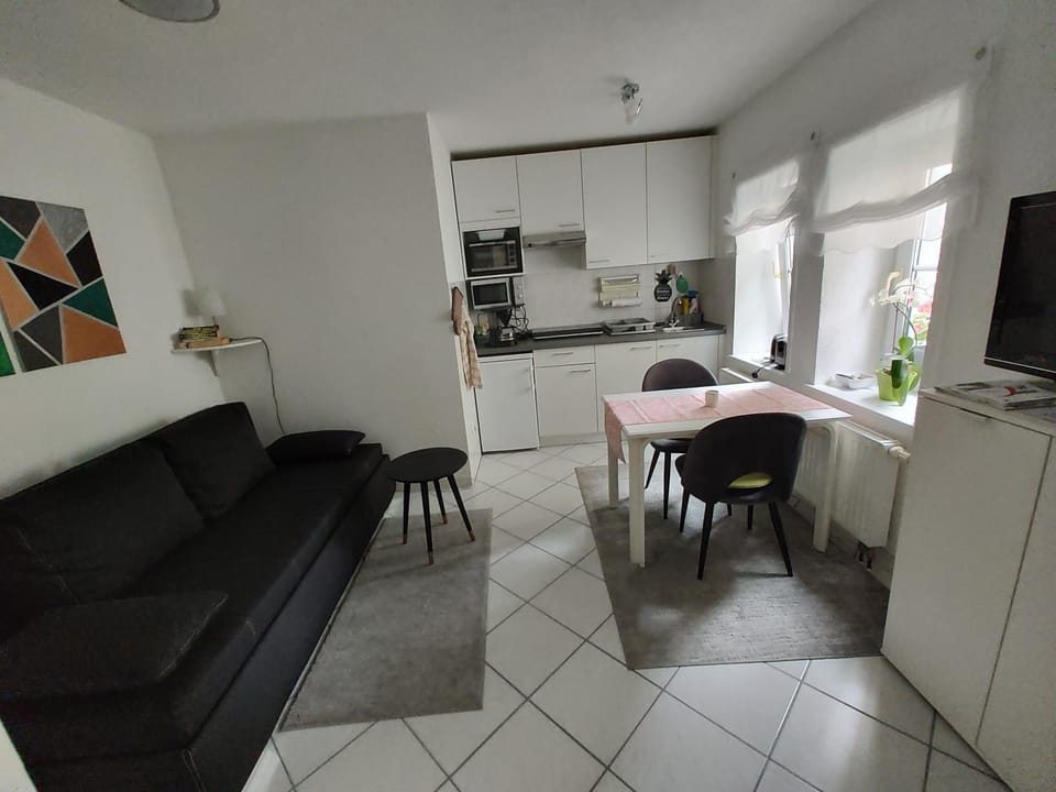 TV and multimedia, Kitchen or kitchenette, Living room, Seating area, Dining area, minibar, stove