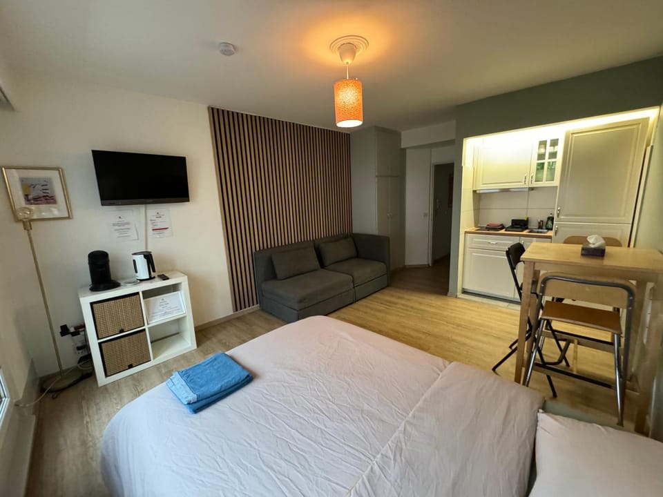 Communal lounge/ TV room, Bed, TV and multimedia, Kitchen or kitchenette, Living room, Photo of the whole room, Seating area, Dining area, Bedroom, hair dresser