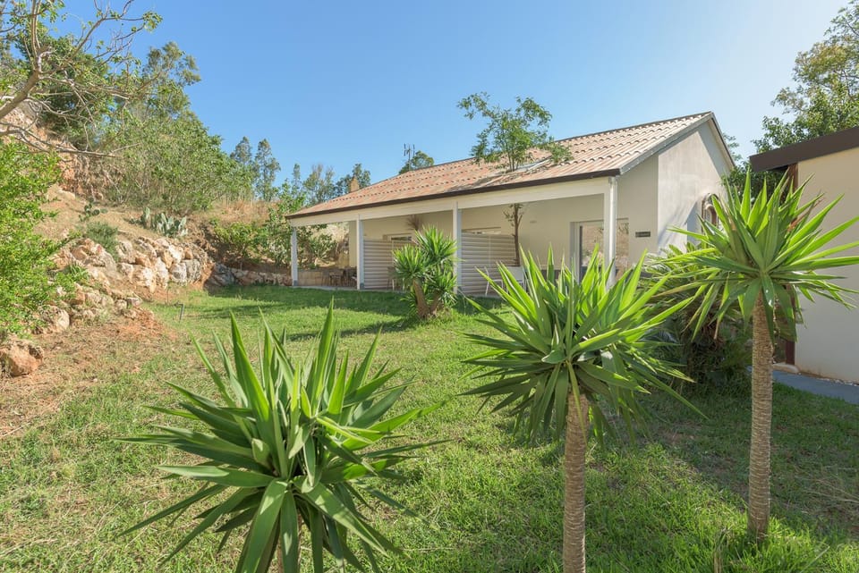 Property building, Garden, Garden view