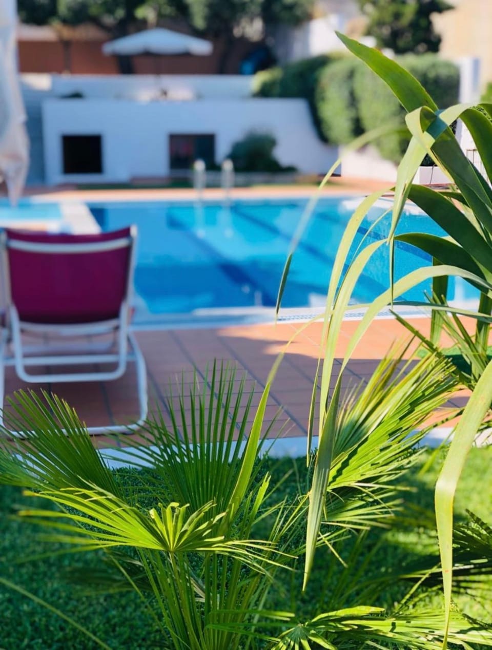 Garden view, Swimming pool