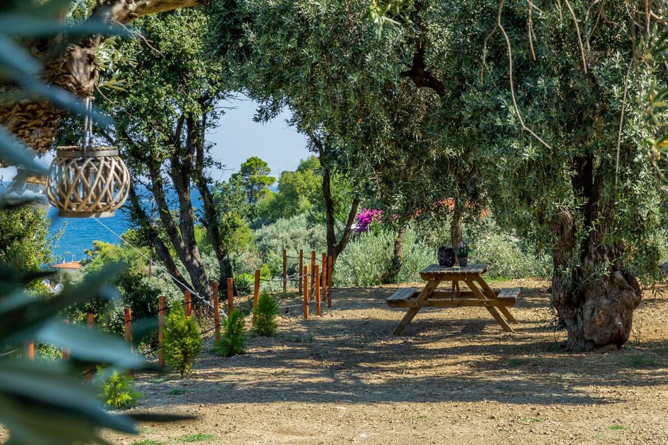 Olive Grove Apartment Apartment in Skopelos