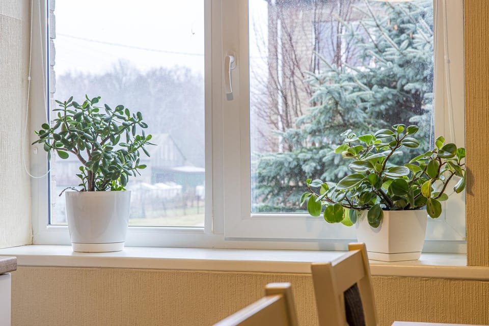 Svencelės butas Apartment in Klaipėda County, Lithuania
