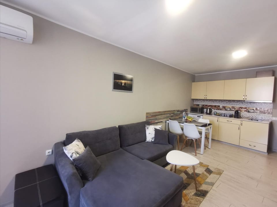 Kitchen or kitchenette, Living room, Dining area, air conditioner
