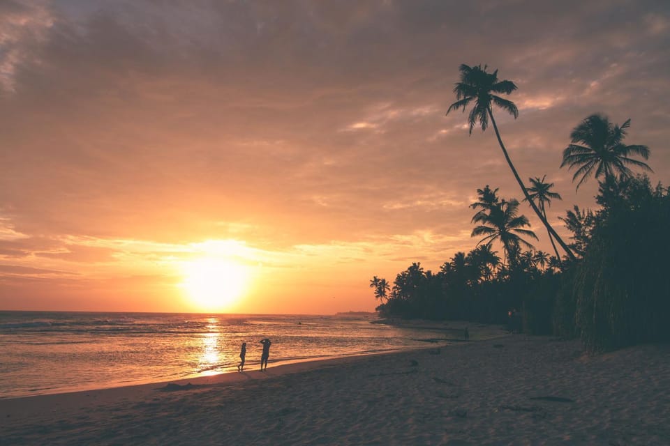 Natural landscape, Decorative detail, Beach, Hiking, Sunset