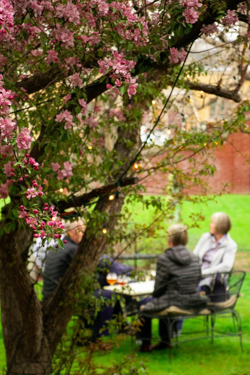 Garden view, Inner courtyard view