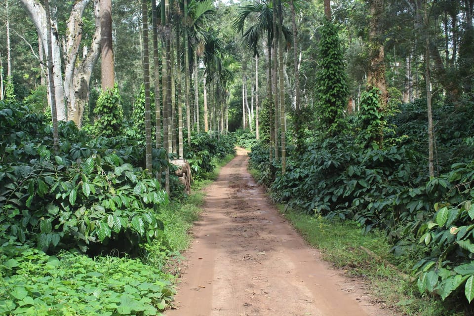 Natural landscape, Hiking