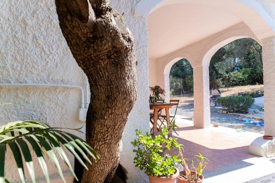 Lilly - Lovely small Villa among Olive Trees House in Sardinia