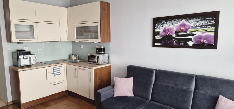 ALEX Apartment in Swinoujscie