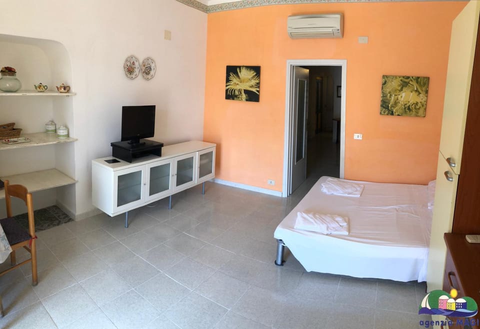 Magi - Ortensia Apartment in Ponza