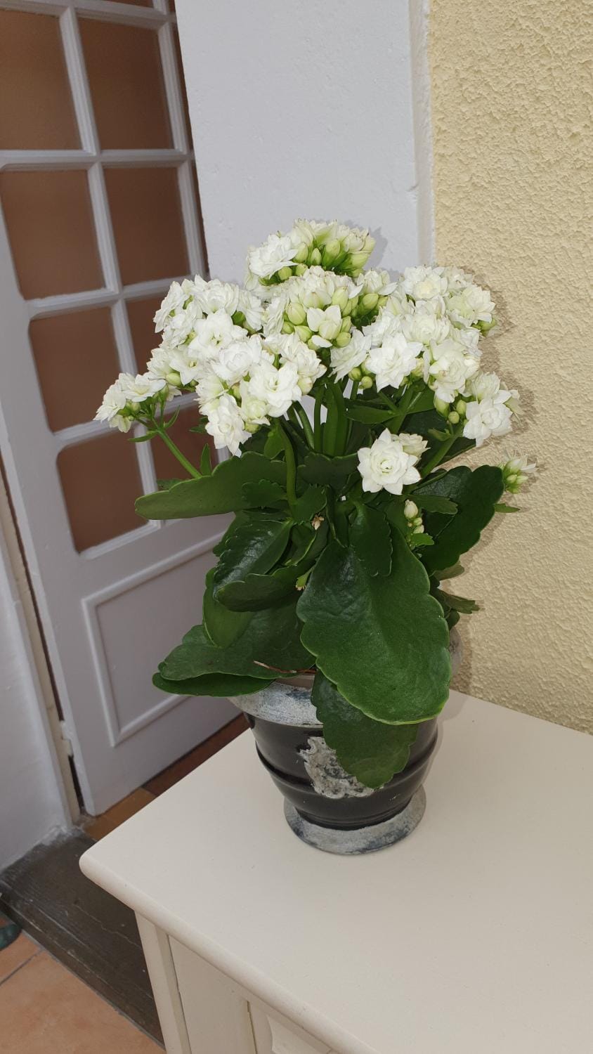 La maison d`hôtes de Constance Bed and Breakfast in Le Mans