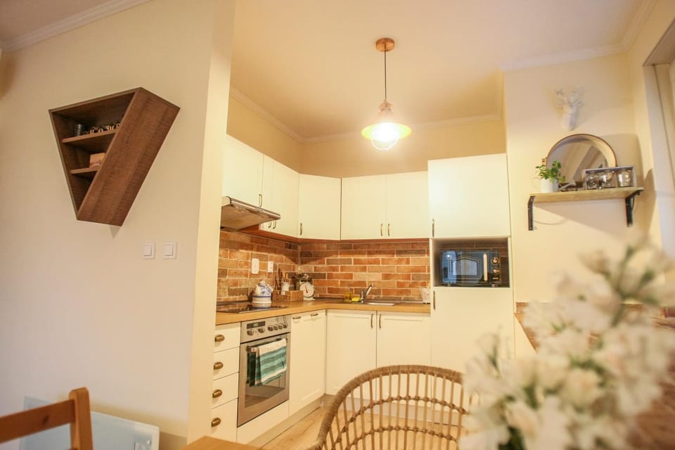 Kitchen or kitchenette, dishwasher, oven, stove