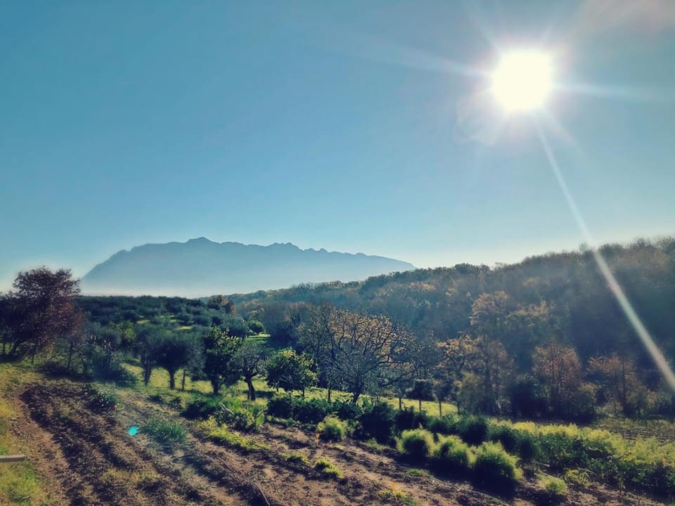 Casa Agricola Scorziello Farm Stay in Campania