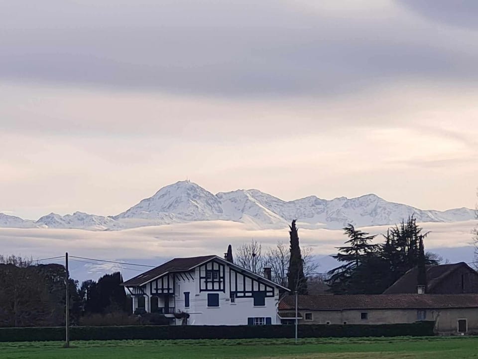 Property building, Mountain view