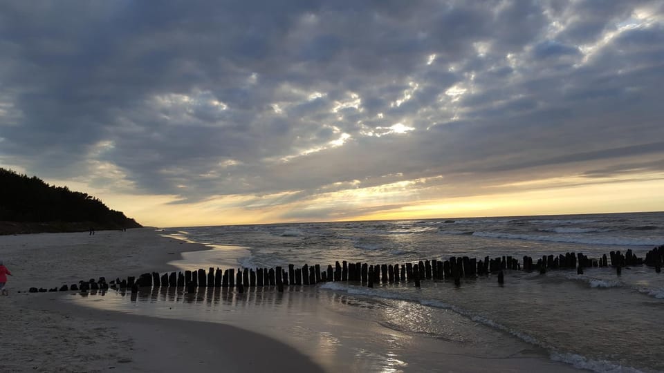 Amber Playa Nature lodge in Pomeranian Voivodeship