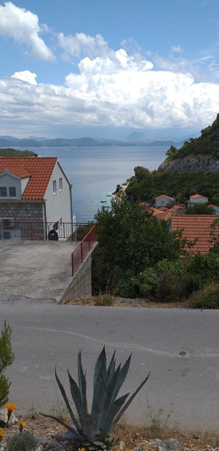 Sea view, Street view