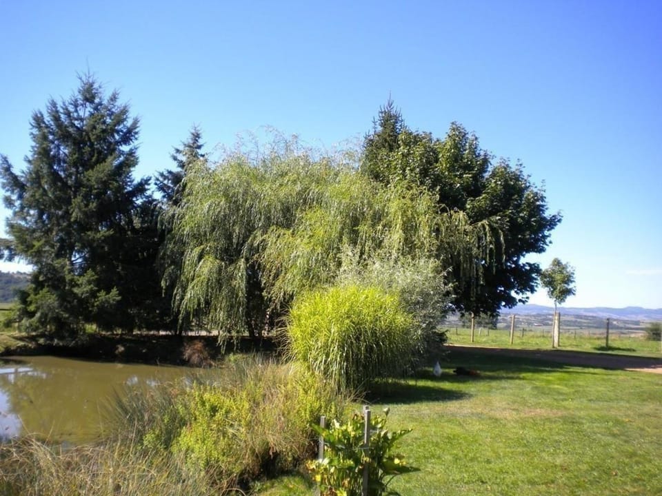 Gîte 80m² avec Terrasse, Wifi et Animaux Acceptés - FR-1-496-113 House in Auvergne-Rhône-Alpes