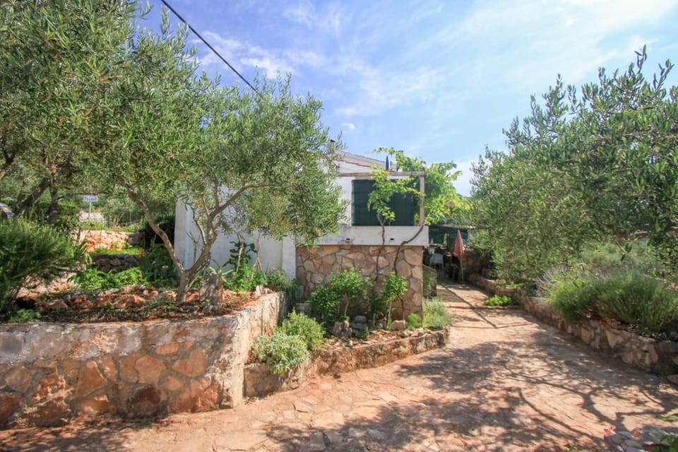 Property building, Facade/entrance, Garden