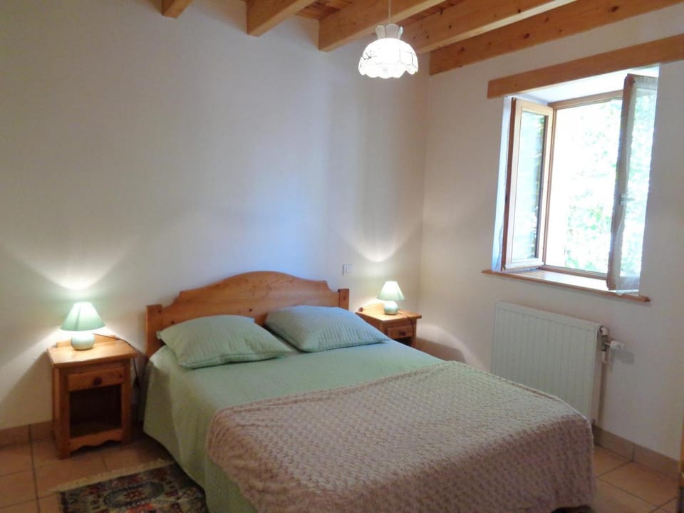 Gîte traditionnel avec terrasse et animaux acceptés - FR-1-496-115 House in Auvergne-Rhône-Alpes