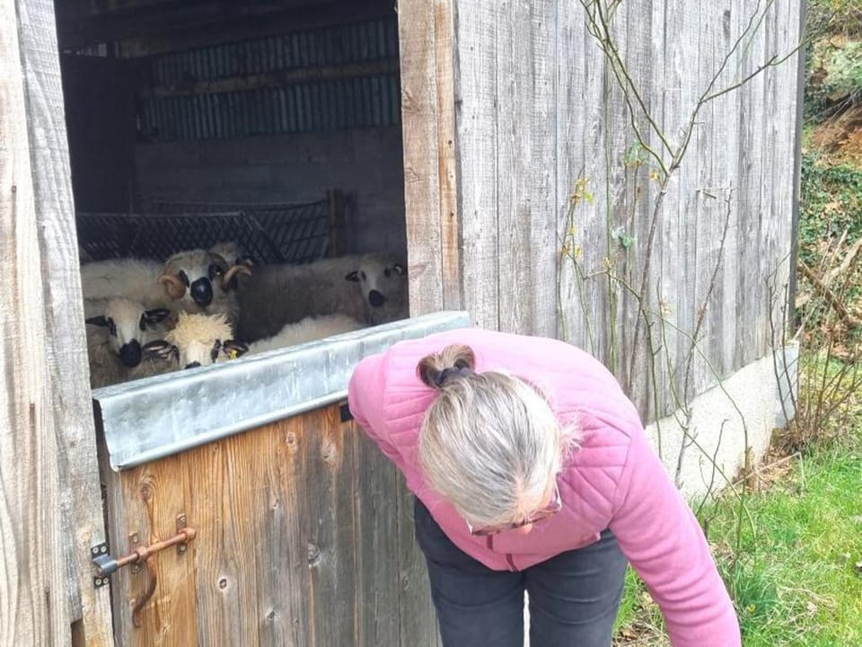 Grange rénovée avec jardin clos, animaux acceptés, proche des Monts du Lyonnais - FR-1-496-119 House in Auvergne-Rhône-Alpes