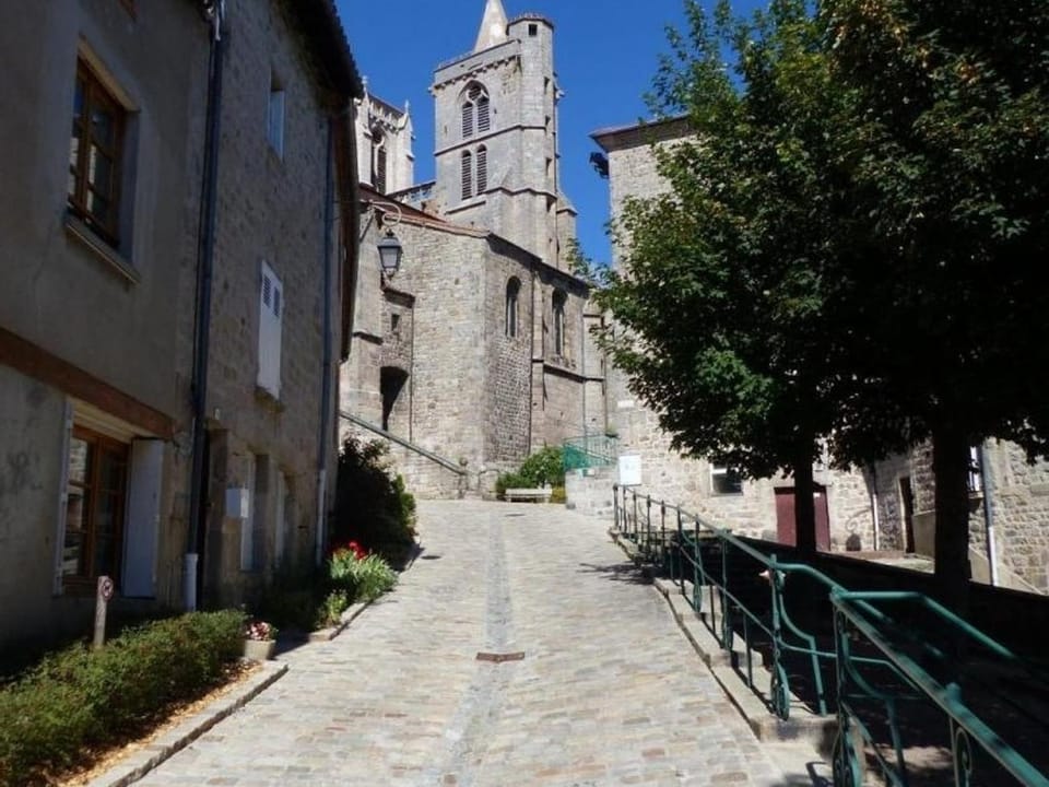 Gîte 3 Épis pour 4 Pers, Nature & Animaux Acceptés - FR-1-496-122 House in Auvergne-Rhône-Alpes