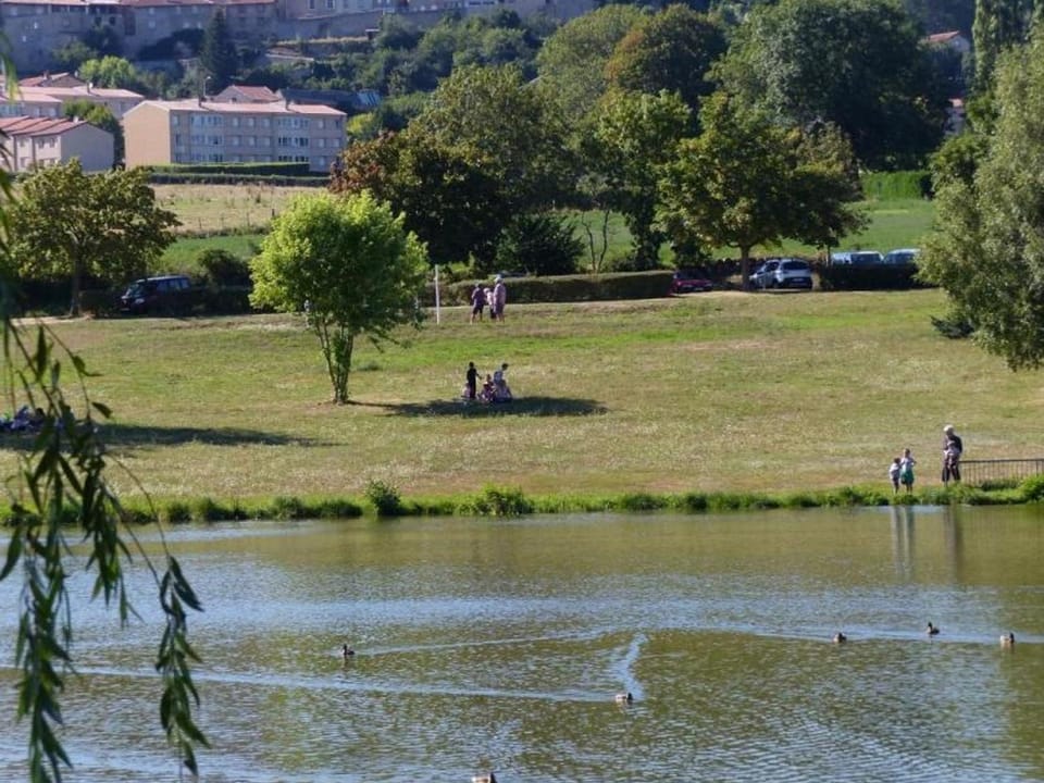 Gîte 3 Épis pour 4 Pers, Nature & Animaux Acceptés - FR-1-496-122 House in Auvergne-Rhône-Alpes