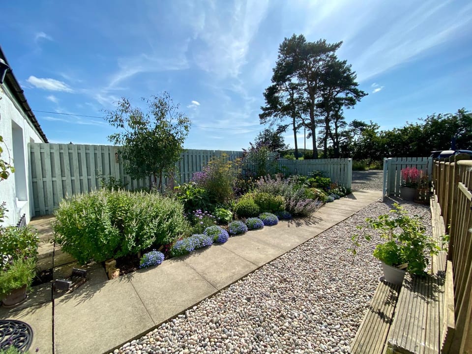 Garden, Garden view, Quiet street view