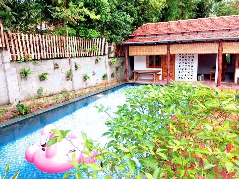 Swimming pool, Swimming pool