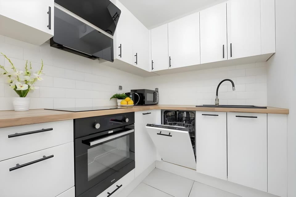 Kitchen or kitchenette, dishwasher, stove, toaster