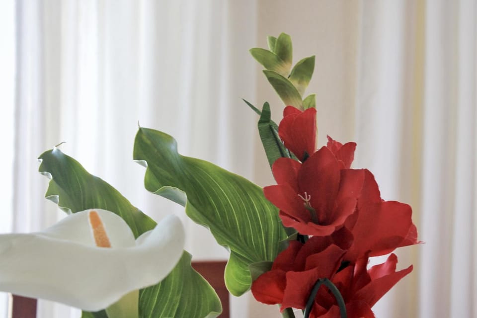 Villa Currina - 7801 Apartment in Cantabria