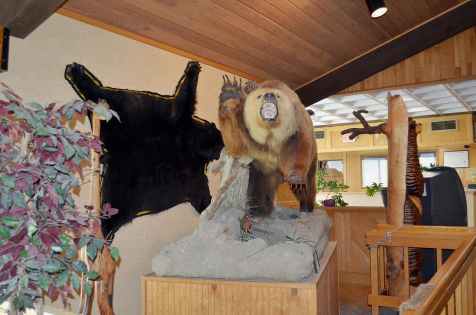 Property building, Decorative detail