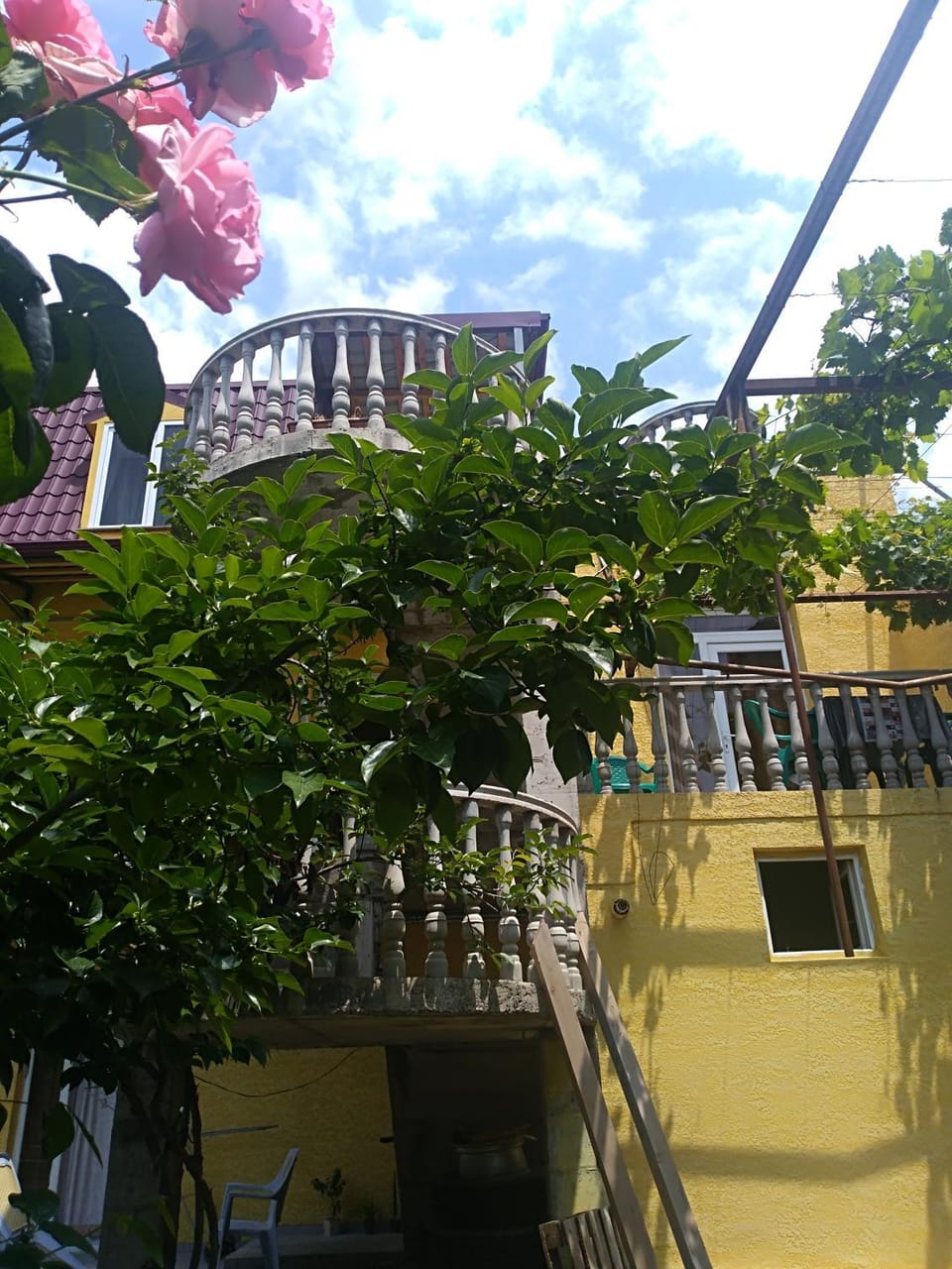 Garden, Balcony/Terrace