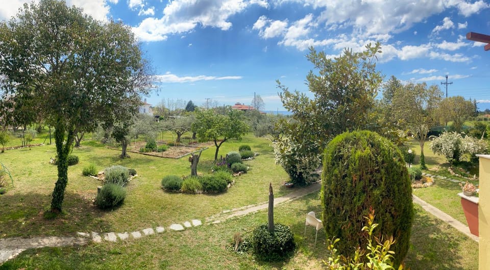 Day, Natural landscape, Garden, Garden view