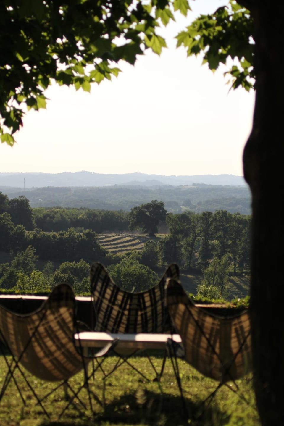 Natural landscape